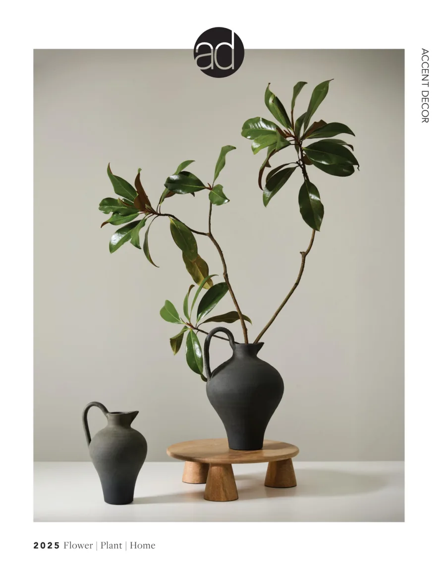Accent Decor x rossi catalog cover